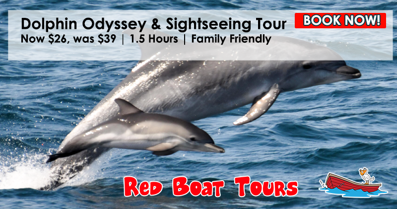 RED BOAT DOLPHIN TOUR 2021